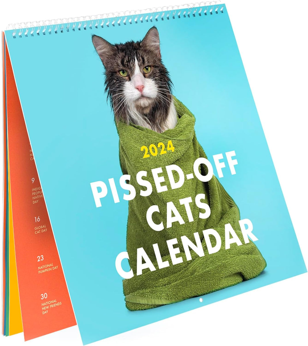 2024-pissed-off-cats-calendar-ailsion