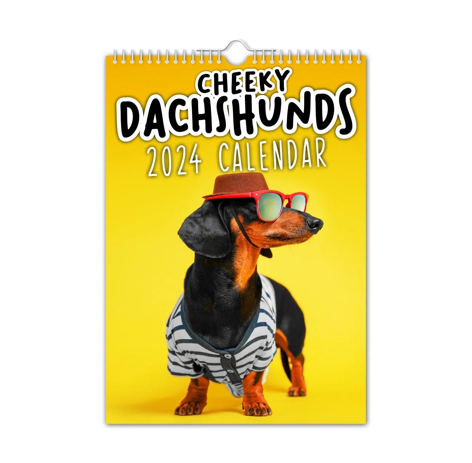 Cheeky Dachshunds 2024 Wall Calendar Ailsion cheeky-dachshunds-2024-wall-calendar-ailsion