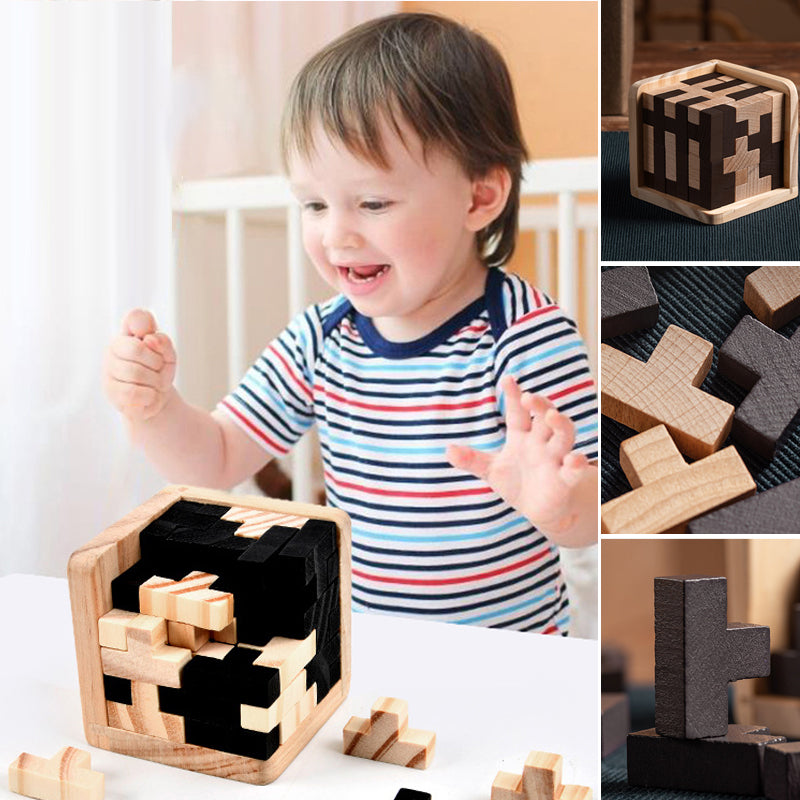 Wisdom Toy Wooden Intelligence Toy Brain Teaser Game – ailsion